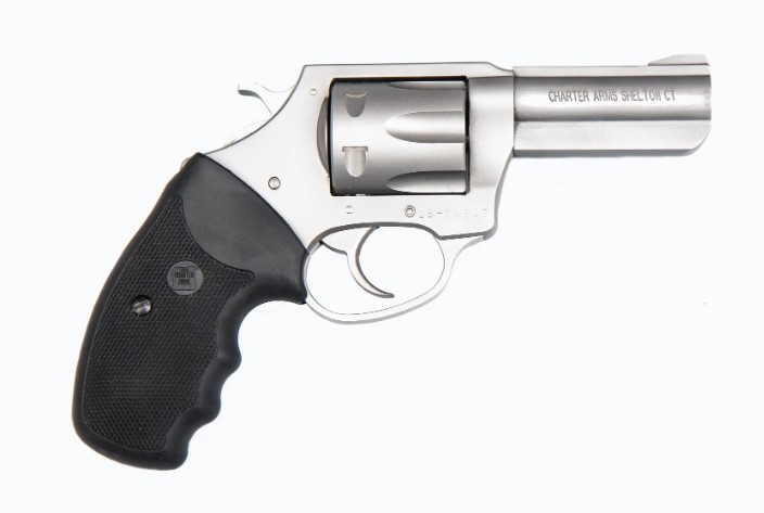 CHARTER ARMS PIT BULL .380 LARGE ALUMINUM 6 SHOT 3IN FIXED STANDARD STAINLESS STEEL 73802 - Win Repeating Arms Promotion